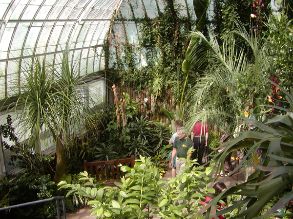 greenhouse